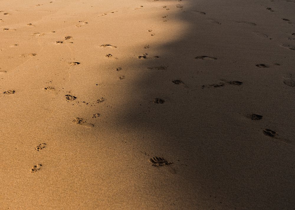 Shadow over the sand with footprints