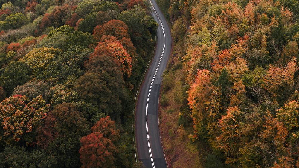 Road through an autumn scenic route 