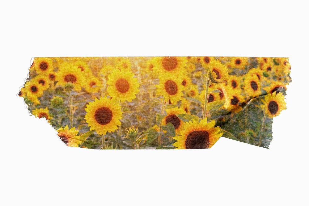 Sunflower field, washi tape element, Spring image