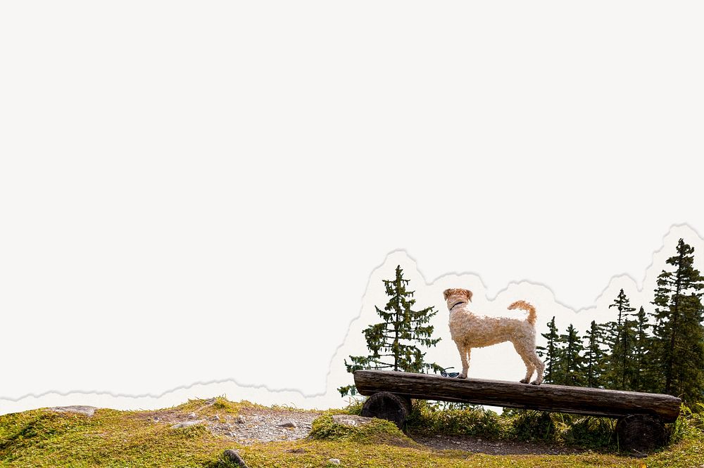 Dog in nature background, ripped paper border