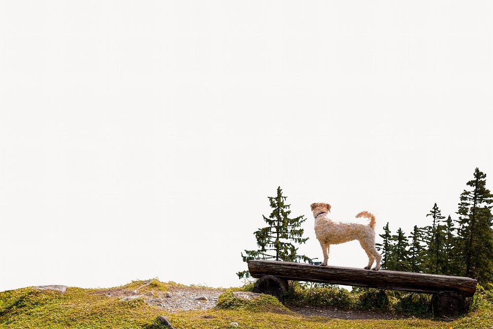 Dog in forest background, nature border design