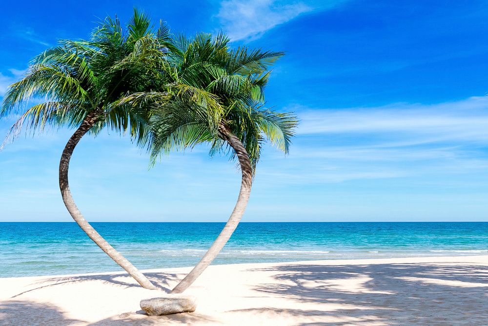 Palm tree on beach background, aesthetic design