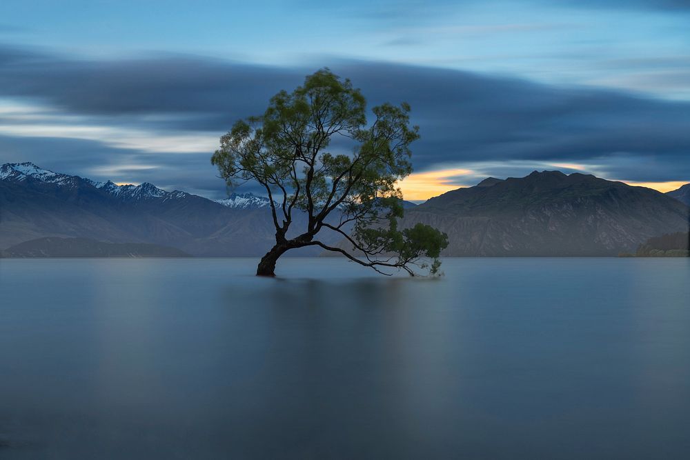 Tree in the lake surrounded by mountains, free public domain CC0 photo.