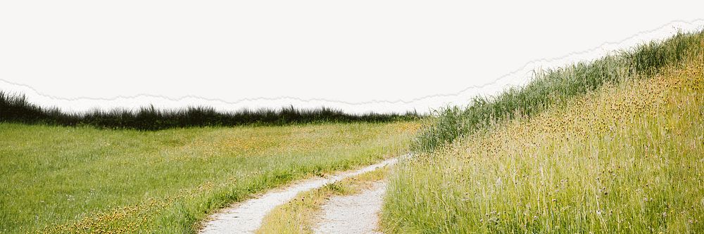 Grass landscape image on white background
