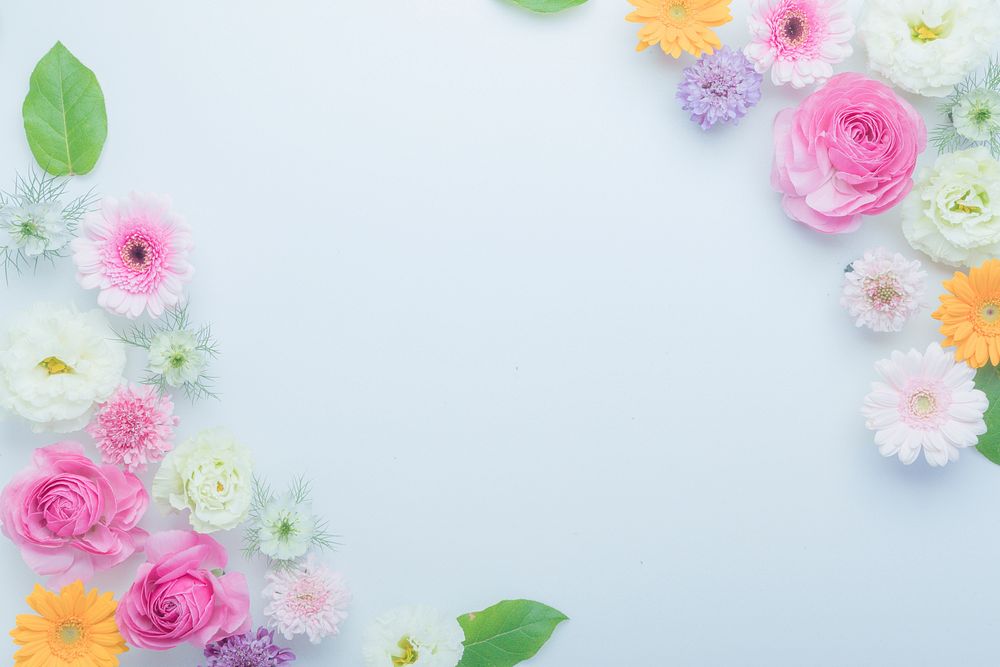 Free flower background image, public domain spring CC0 photo.