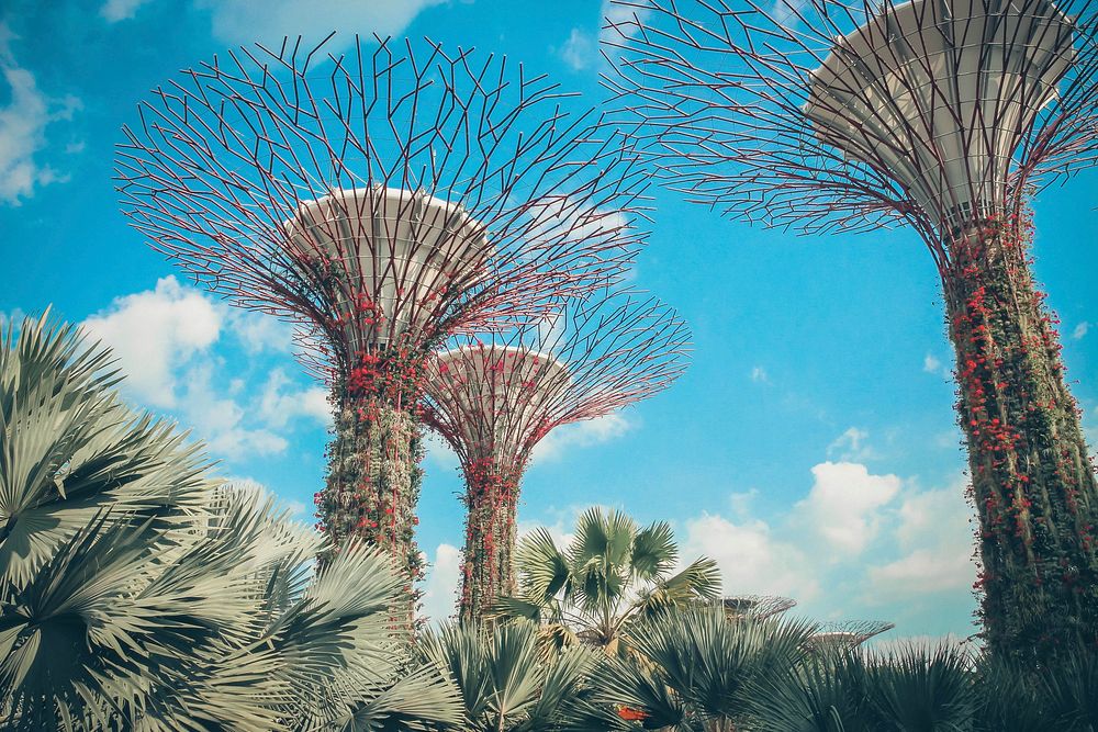 Free gardens by the bay image, public domain travel CC0 photo.