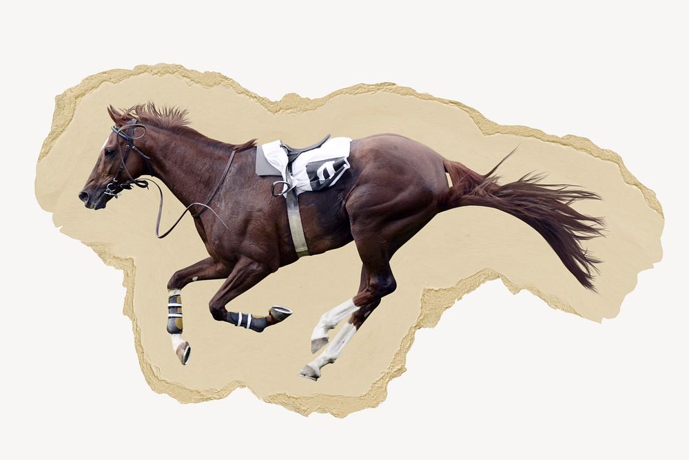 Race horse, ripped paper collage element