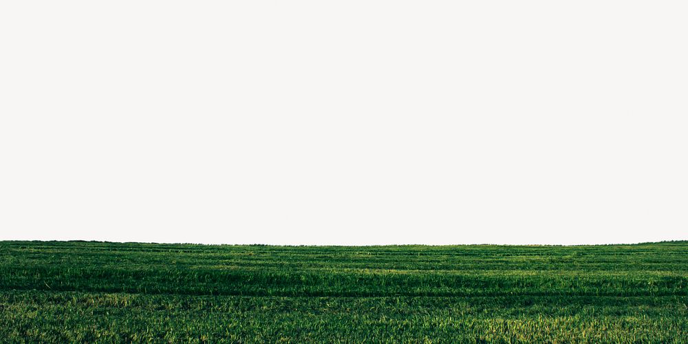 Green field border, nature background psd