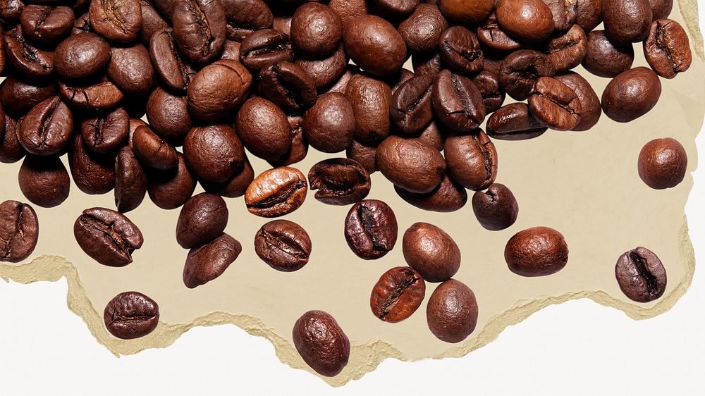 Coffee beans, food & drink on torn paper