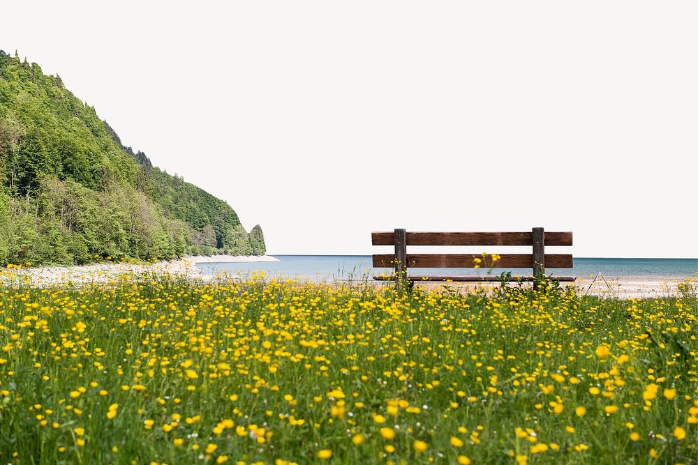 Scenic park bench border, nature background psd