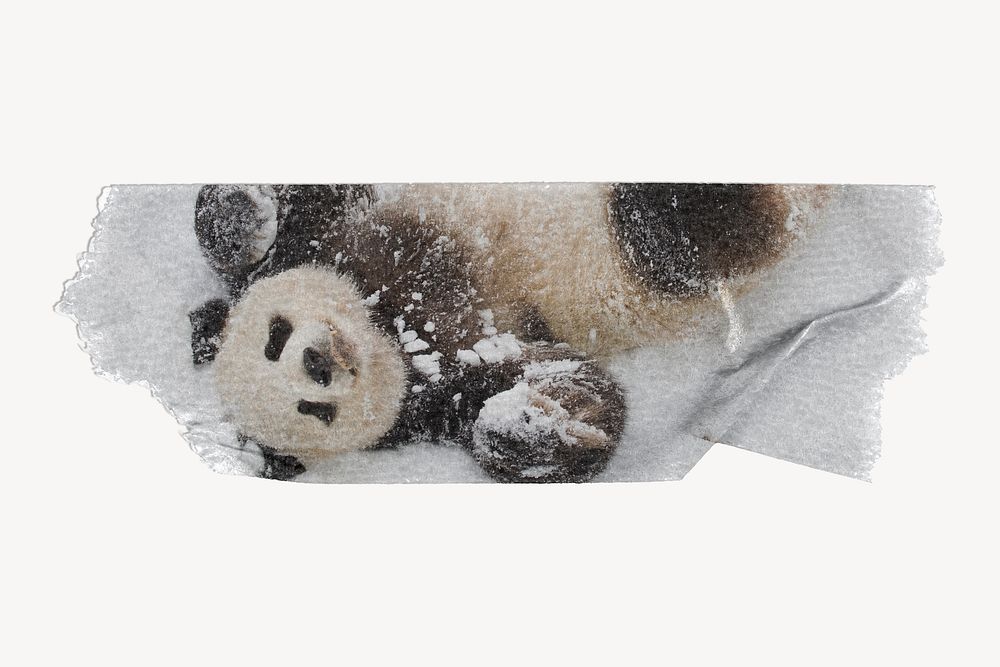 Panda in snow, ripped washi tape, wildlife image