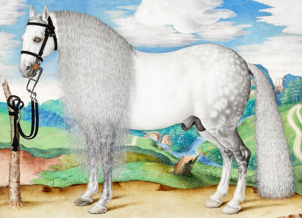 A Dappled Gray Stallion Tethered in a Landscape (1584-1587) painting in high resolution. Original from Getty Museum.…