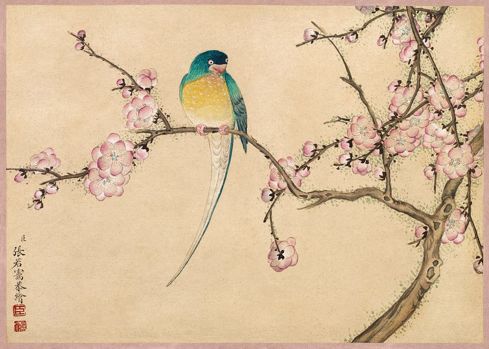 Bird with Plum Blossoms (18th Century) painting in high resolution by Zhang Ruoai. Original from The Cleveland Museum of…