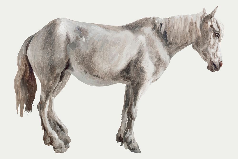 Gray horse vector painting vintage style, remixed from artworks by Jacques-Laurent Agasse
