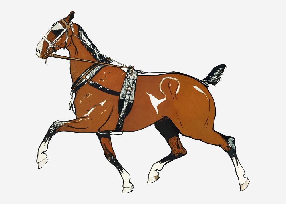 Vintage horse illustration vector, remixed from artworks by Edward Penfield