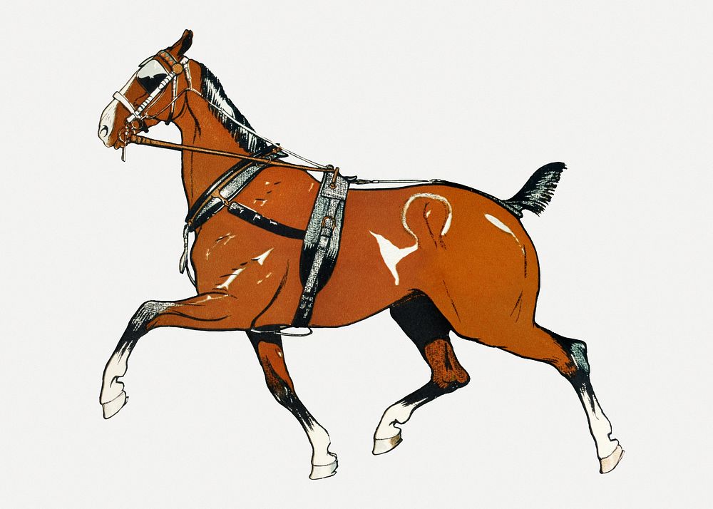 Vintage horse psd illustration, remixed from artworks by Edward Penfield
