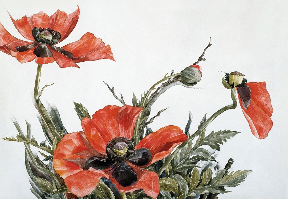 Red Poppies (1929) painting in high resolution by Charles Demuth. Original from The MET Museum. Digitally enhanced by…