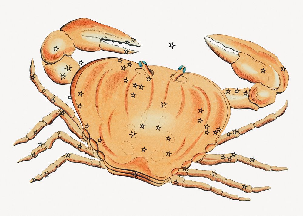 Crab constellation, zodiac animal isolated image