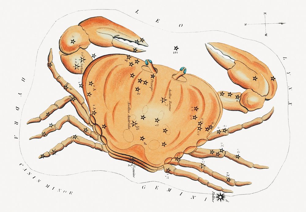 Crab constellation sticker, zodiac animal isolated image psd