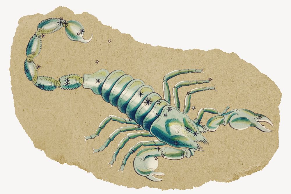 Scorpion, ripped paper collage element