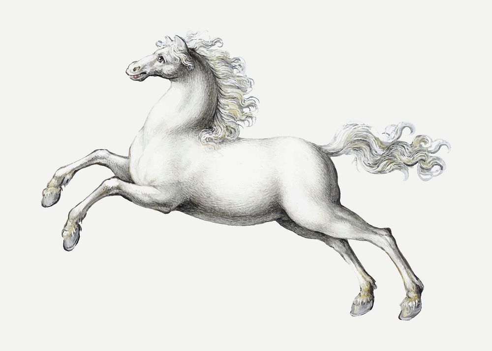 White horse vector animal painting, remixed from artworks by Joris Hoefnagel