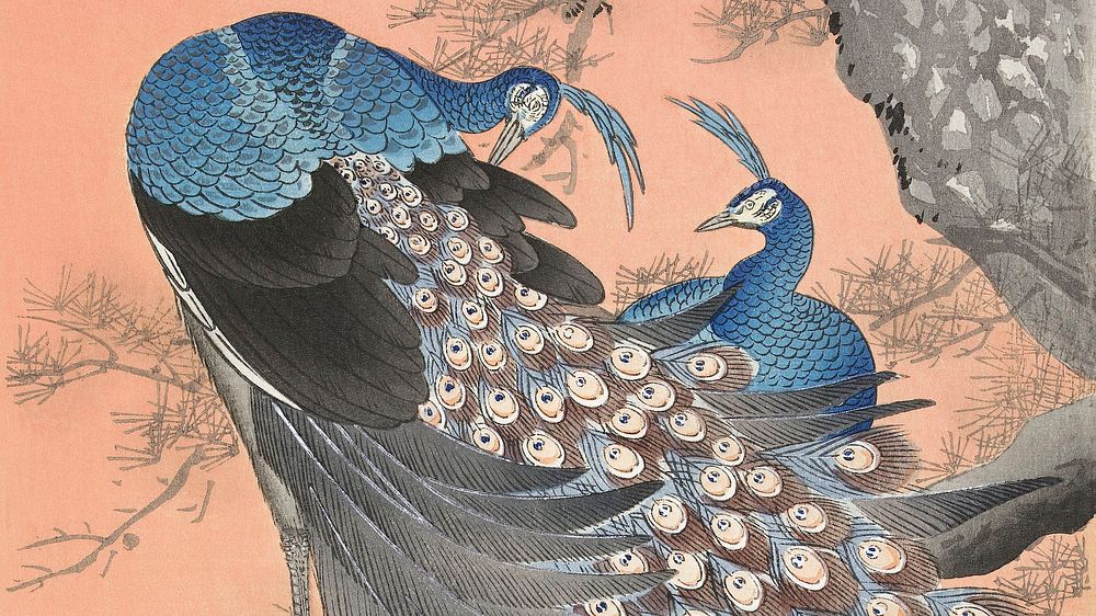 Ohara Koson wallpaper, Japanese desktop background, Two peacocks on tree branch Japanese print