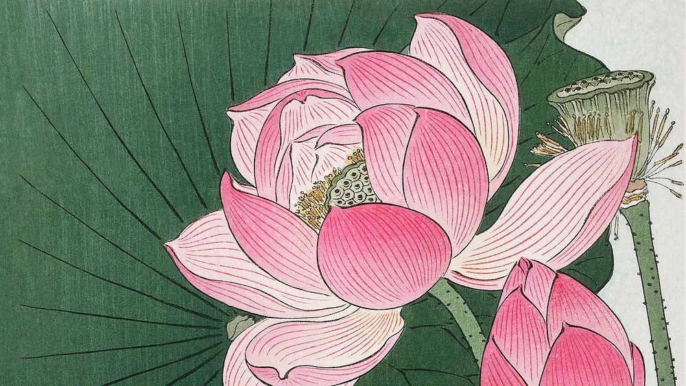 Ohara Koson wallpaper, Japanese desktop background, Blooming lotus flowers Japanese print
