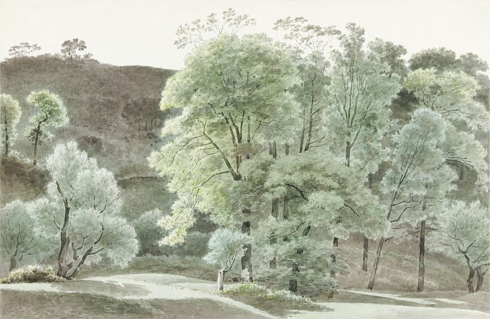 Bomen in de omgeving van Subiaco (trees in the Subiaco area) by Joseph August Knip (1777&ndash;1847). Original from The…