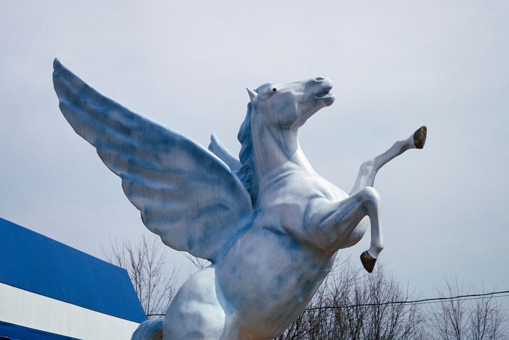 Pegasus statue detail, Fantasy mini golf, Route 441, Pigeon Forge, Tennessee (1992) photography in high resolution by John…