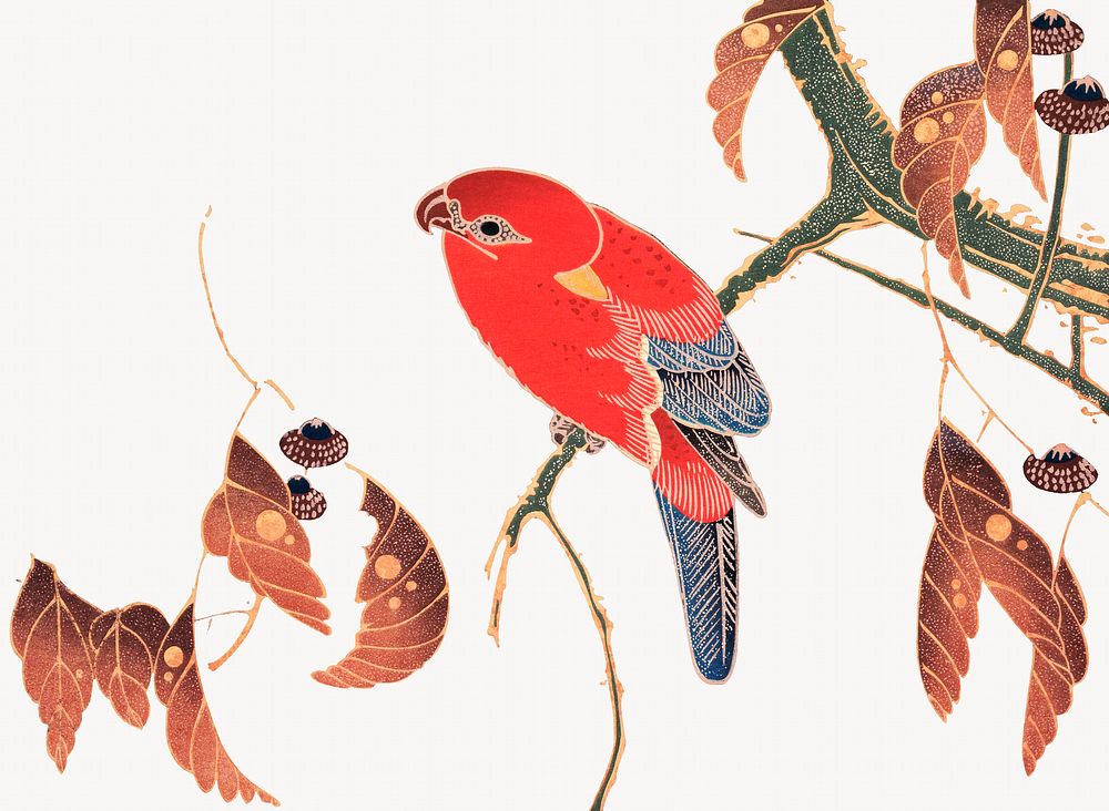 Red parrot, Ito Jakuchu's vintage illustration