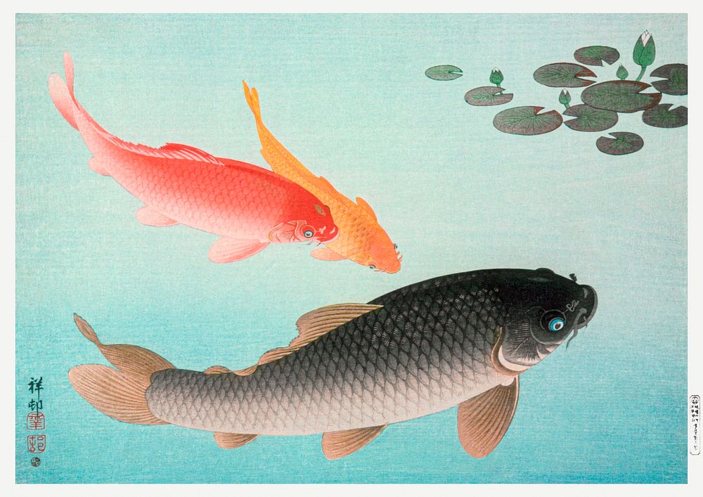 Common and Golden Carp (1935) by Ohara Koson. Original from the Los Angeles County Museum of Art. Digitally enhanced by…