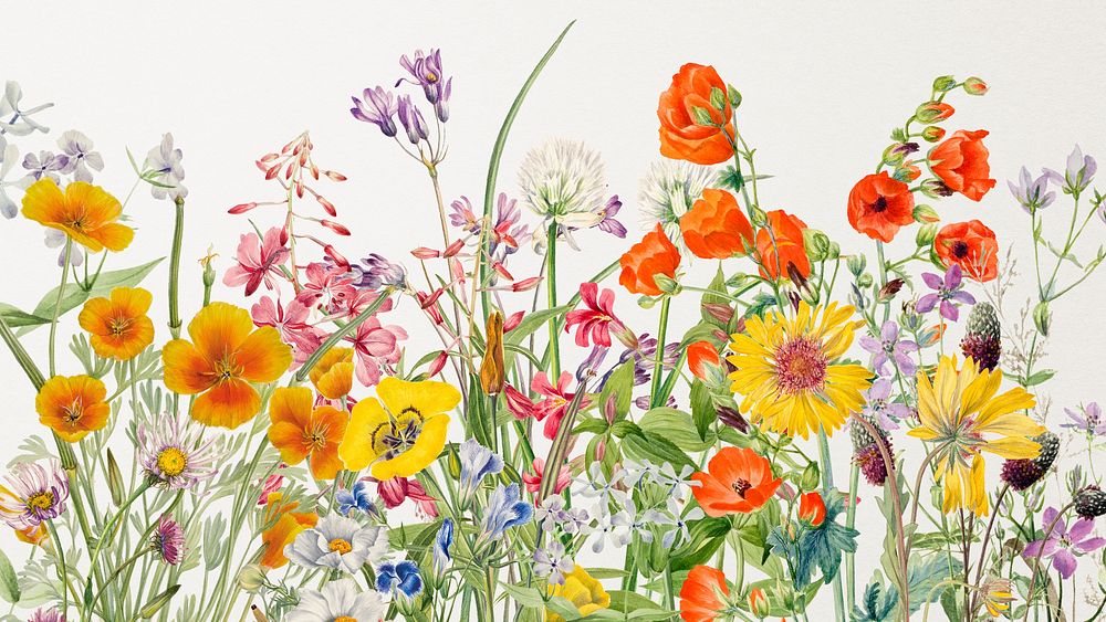Flower desktop wallpaper, colorful floral illustration, vintage background 