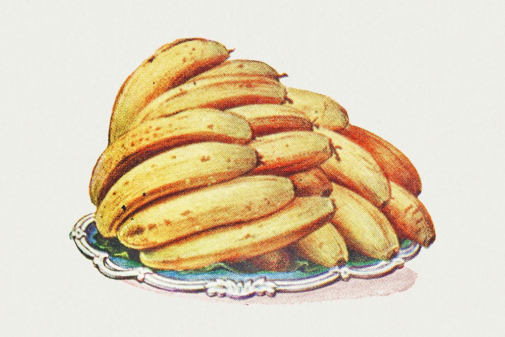 Vintage hand drawn bananas illustration