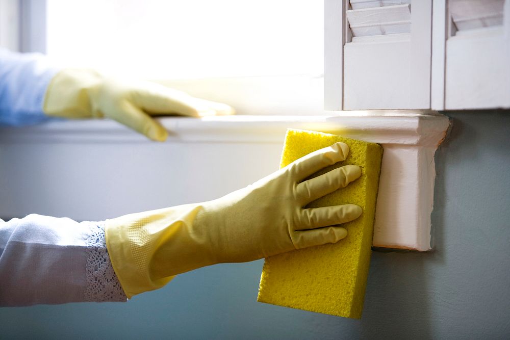 Woman using a damp sponge to clean dust collected on a window sill. Original image sourced from US Government department:…
