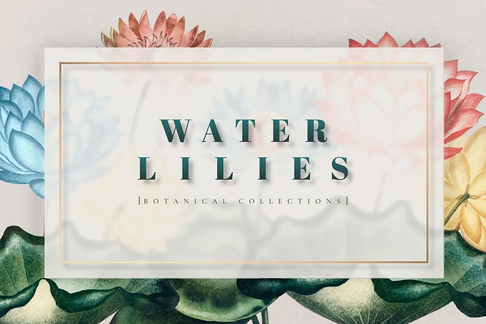 Colorful botanical water lilies frame vector