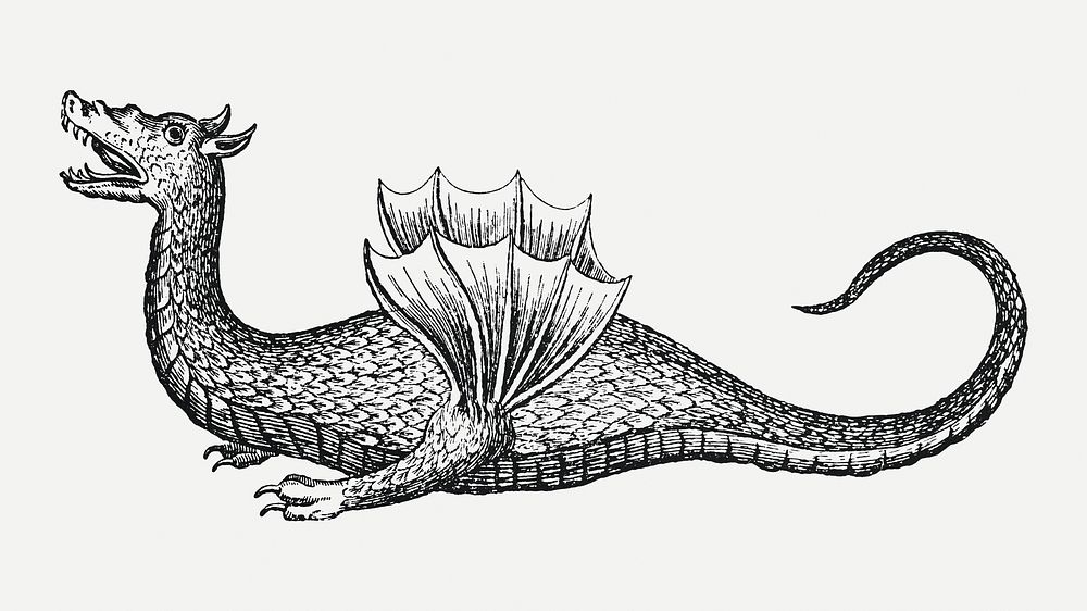 Vintage dragon illustration psd, remixed from artwork by Athanasius Kircher.