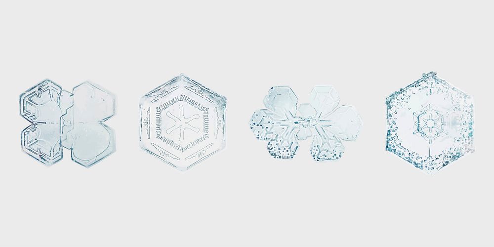 Christmas snowflake vector macro photography set, remix of art by Wilson Bentley