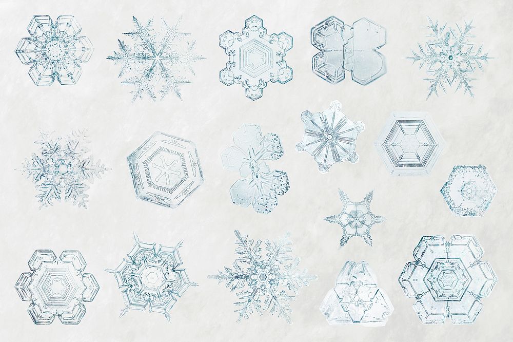 Christmas snowflake set season&rsquo;s greetings ornament macro photography, remix of art by Wilson Bentley
