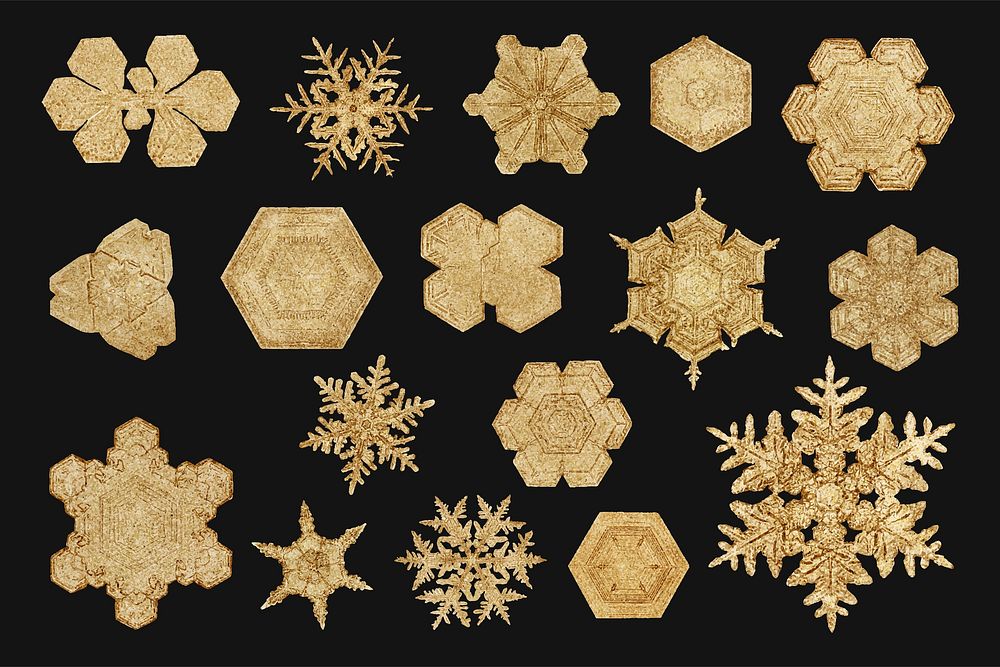 Winter gold snowflake vector set macro photography, remix of art by Wilson Bentley