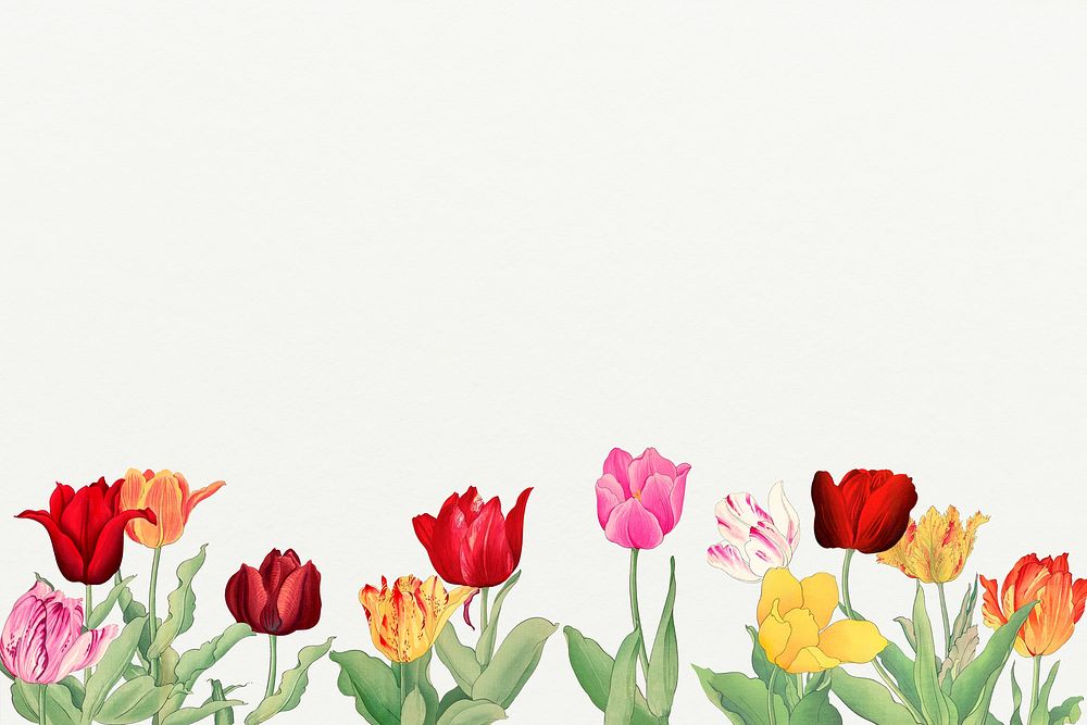 Tulip flower border background, vintage Japanese art