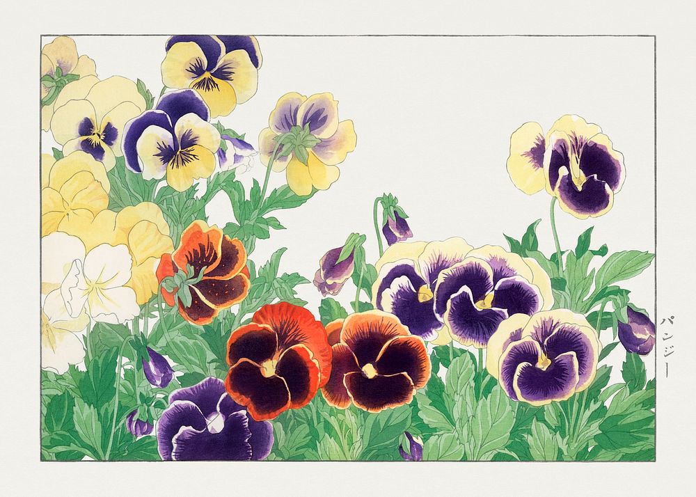 Vintage pansy flower, ukiyo e artwork.  Digitally enhanced from our own 1917 edition of Seiyô SÔKA ZUFU by Tanigami Kônan.