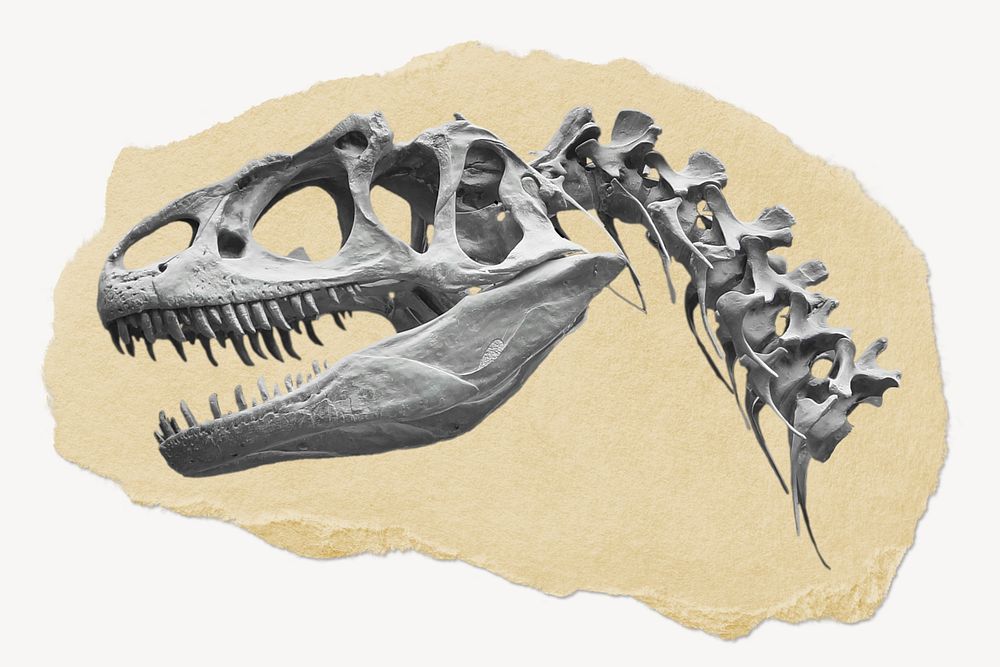 Dinosaur fossil ripped paper, extinct animal graphic