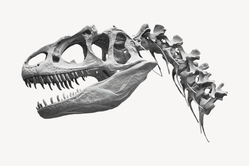 Dinosaur fossil sticker, extinct animal image psd