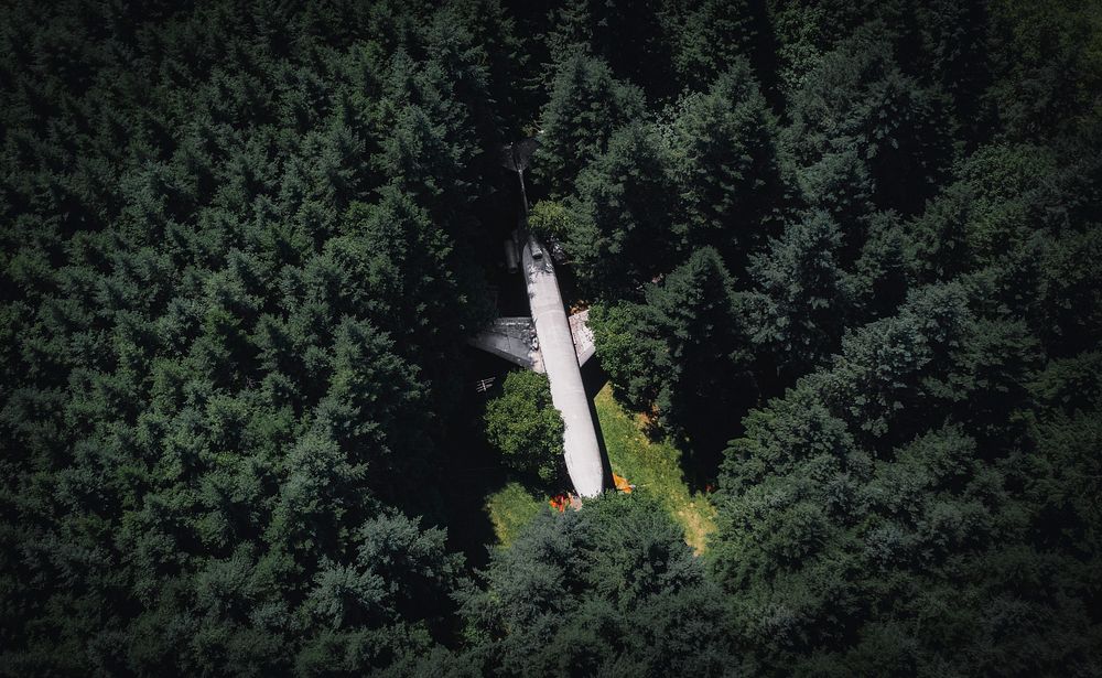 A plane in the woods in Hillsboro, Oregon, USA
