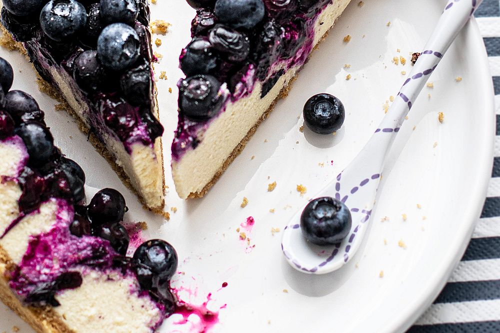 Closeup of a homemade blueberry cheese cake. Visit Monika Grabkowska to see more of her food photography.