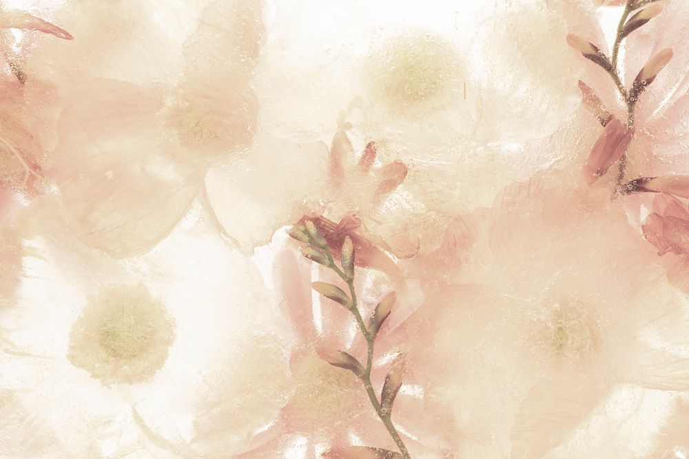 Beige anemone flower background
