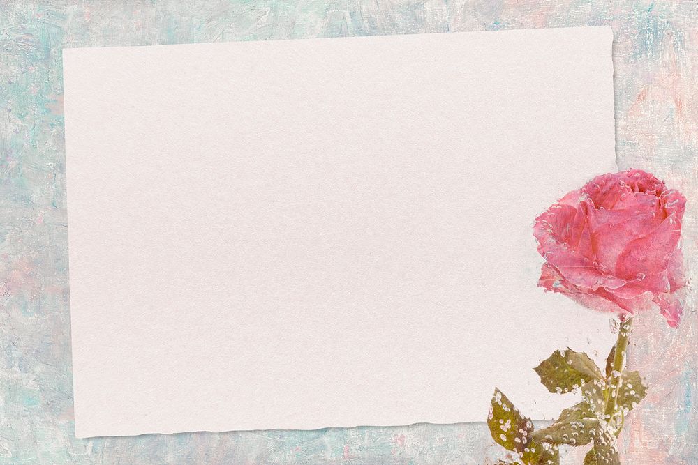 Pink rose flower with card mockup