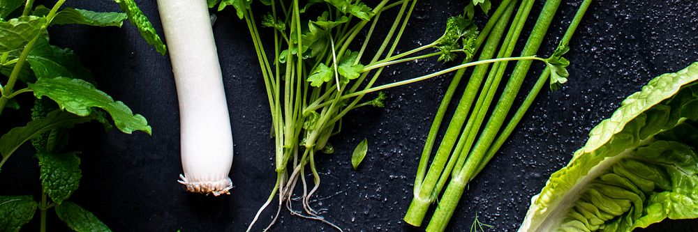 Mixed green fresh organic herbs and salads flatlay