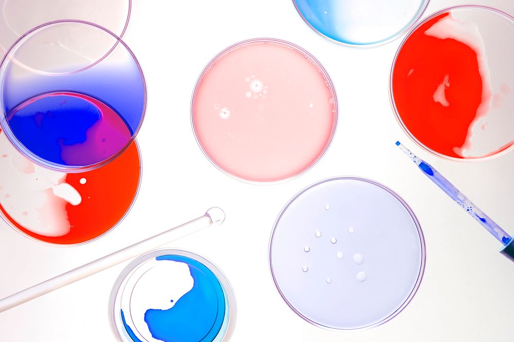 Science background experiment wallpaper, petri dishes flat lay