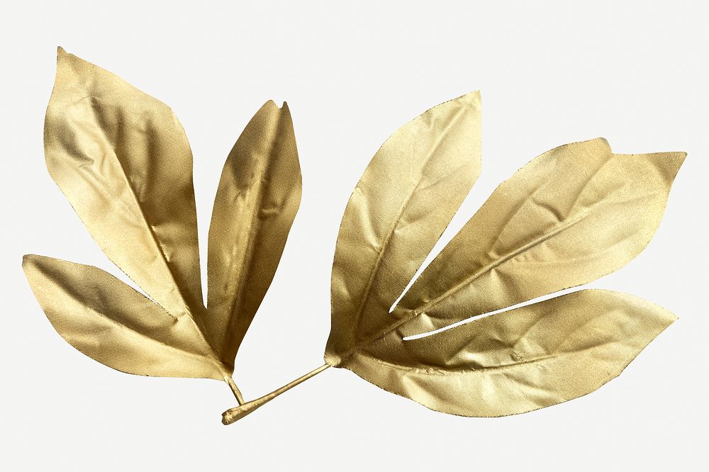 Shiny golden Maple leaves isolated on background mockup
